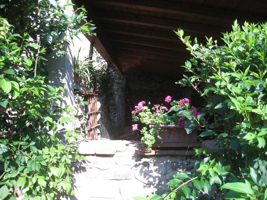 Casa Curlo Bed & Breakfast Calvagese Della Riviera Exterior photo