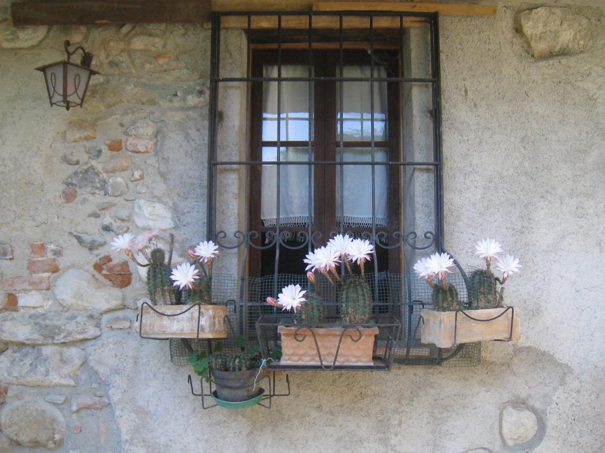 Casa Curlo Bed & Breakfast Calvagese Della Riviera Exterior photo