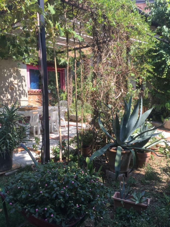 Casa Curlo Bed & Breakfast Calvagese Della Riviera Exterior photo